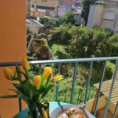 Au Coeur D'ajaccio ! * Ajaccio (Corsica)